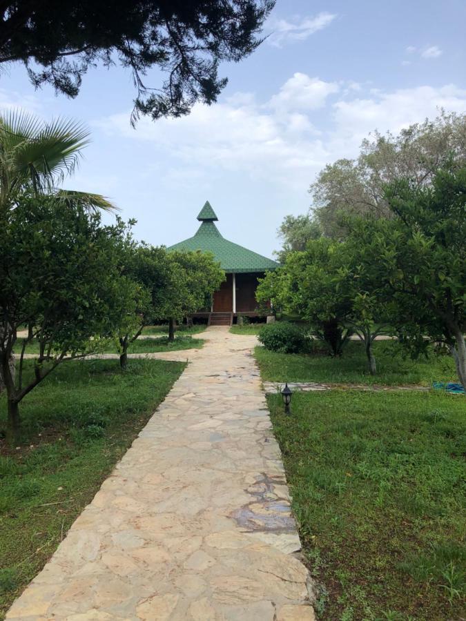 Cirali Armira Bungalow Esterno foto