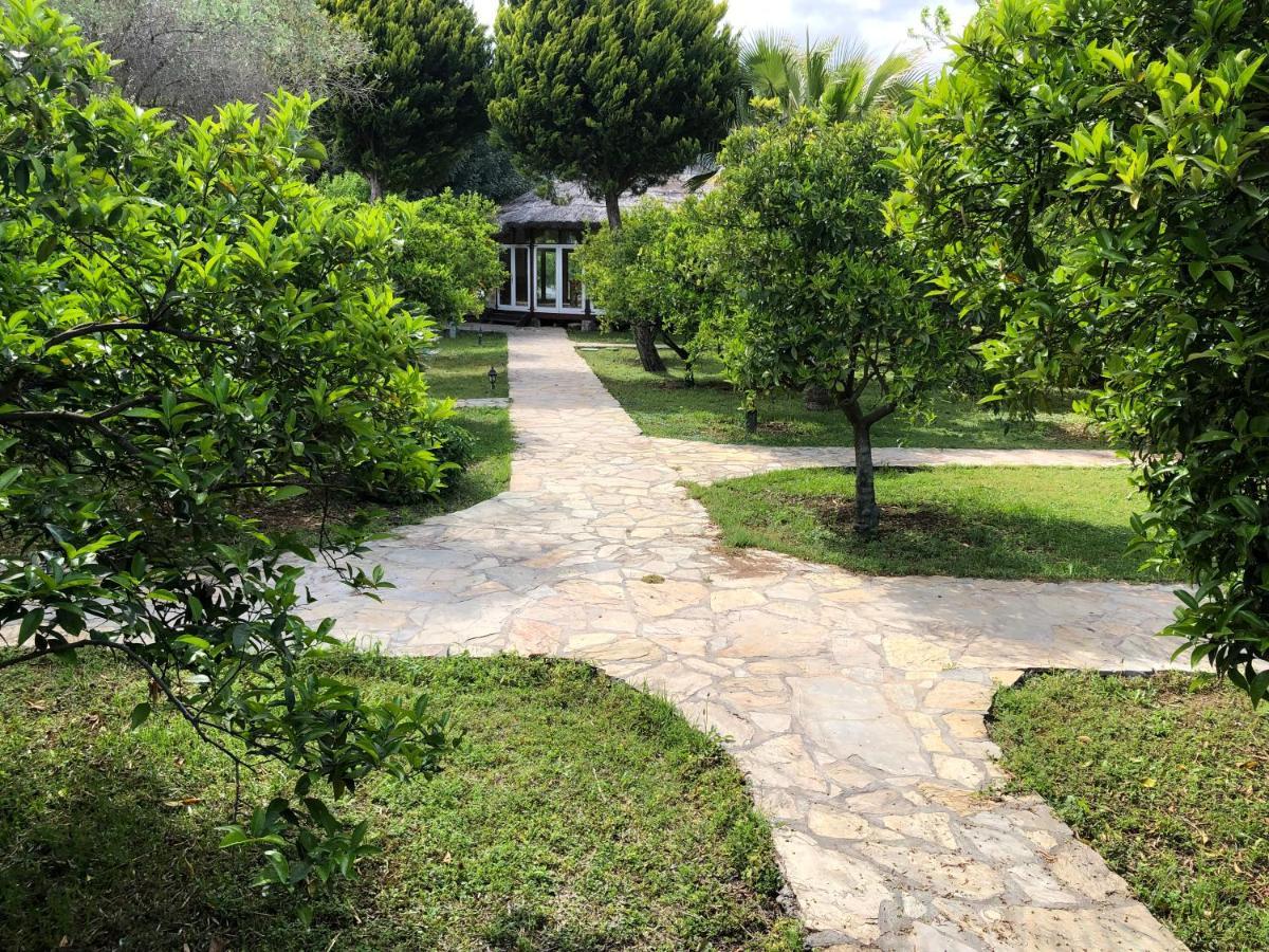 Cirali Armira Bungalow Esterno foto