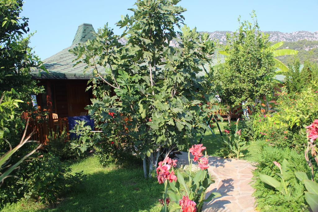 Cirali Armira Bungalow Camera foto