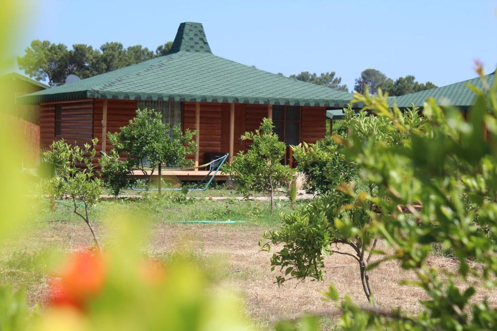 Cirali Armira Bungalow Camera foto