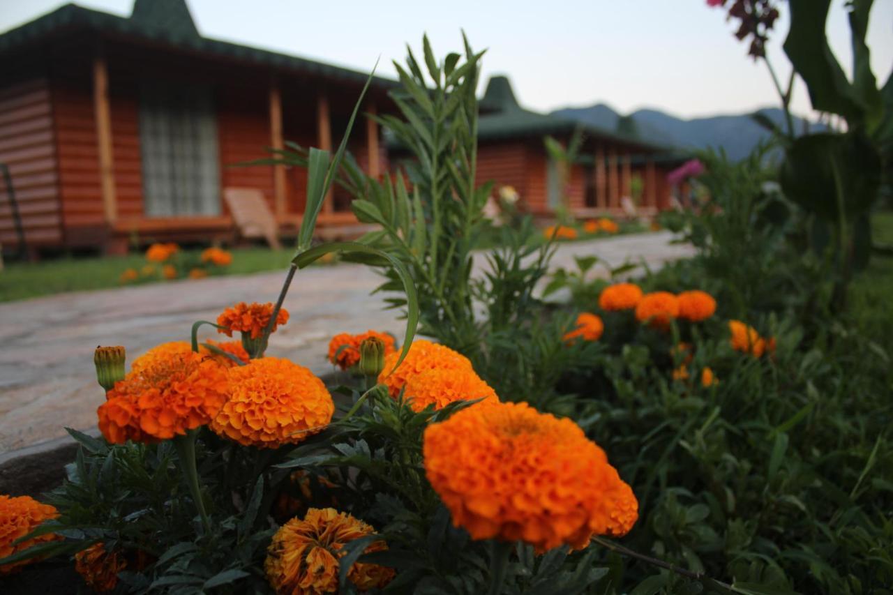 Cirali Armira Bungalow Camera foto